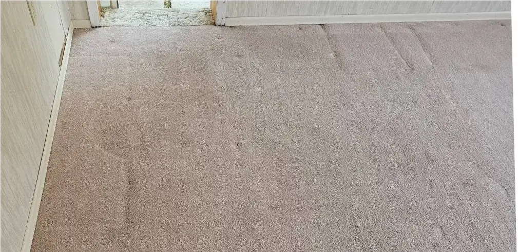 The same carpet after cleaning, the dark stains gone and the water ring faded