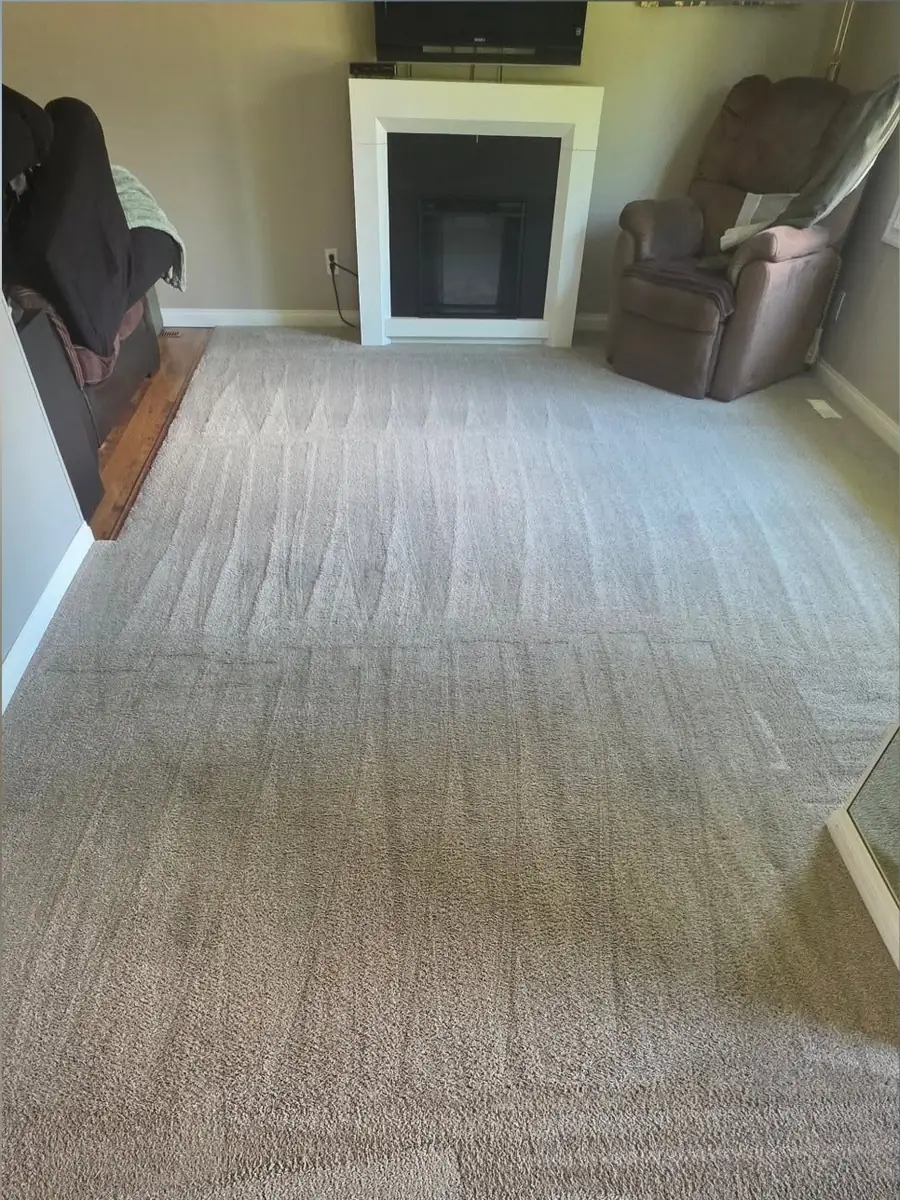 The same living room carpet after cleaning, with fresh brush lines