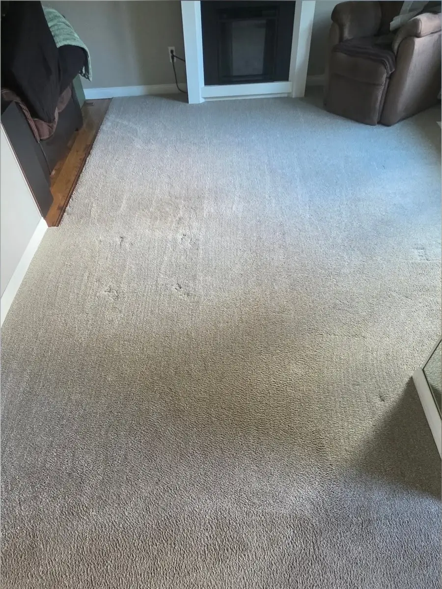 Living room carpet with dark traffic patches before cleaning
