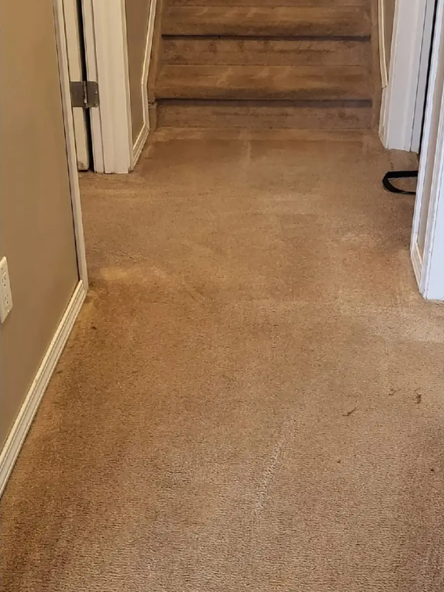 The same hallway carpet after cleaning, even and spot free