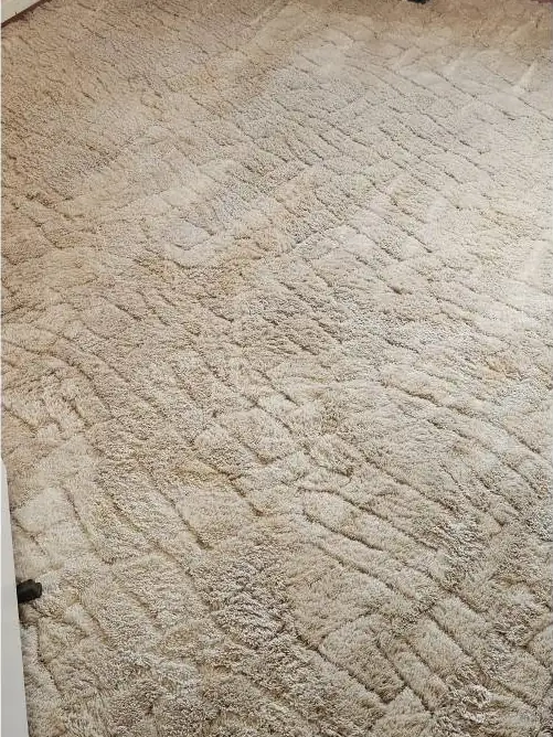 The same shag after cleaning, an even cream colour