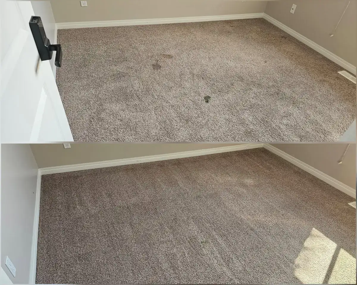 A bedroom carpet with dark spots before cleaning, above the same carpet after cleaning