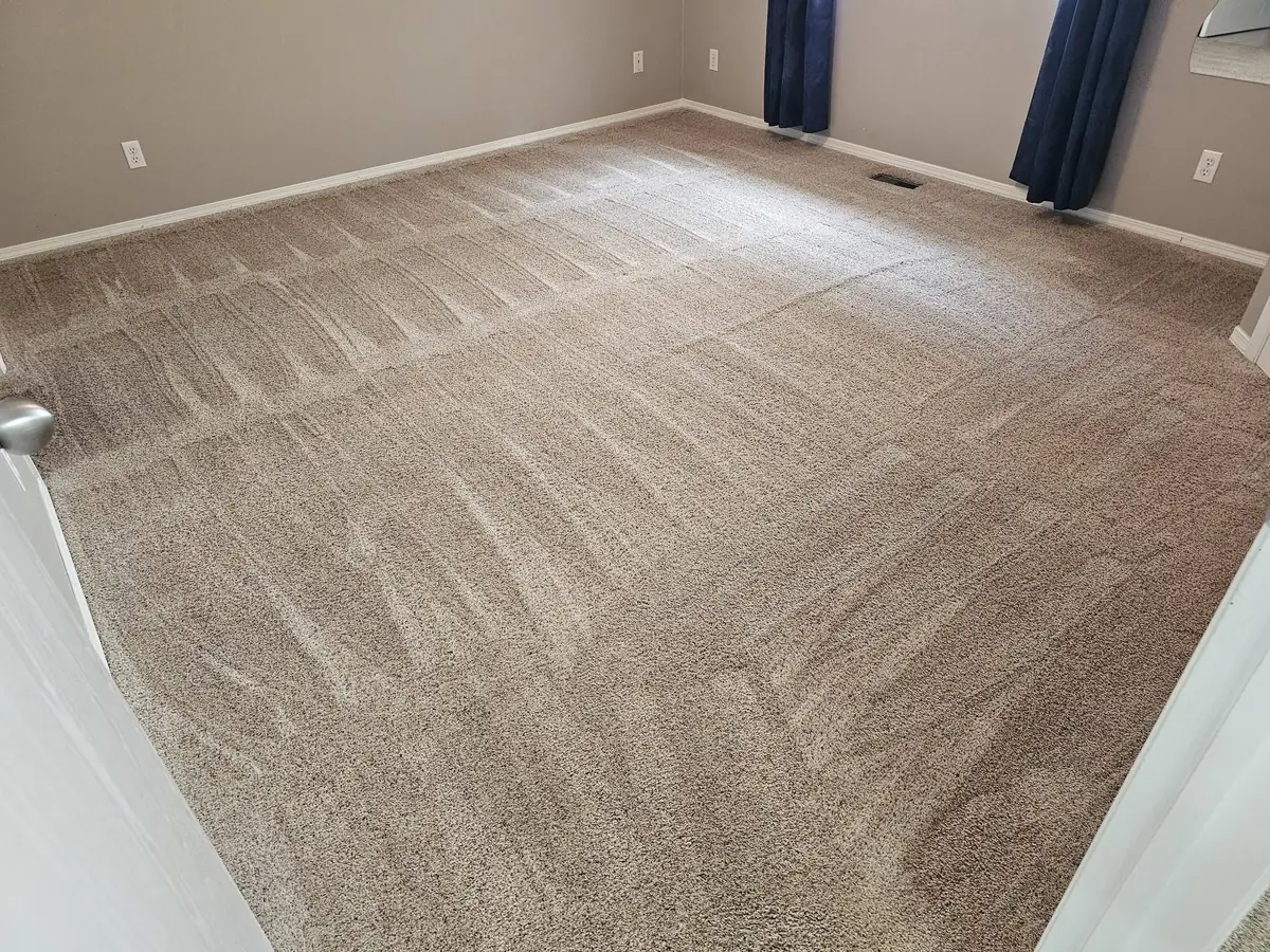 A freshly cleaned bedroom carpet with even brush lines and navy curtains
