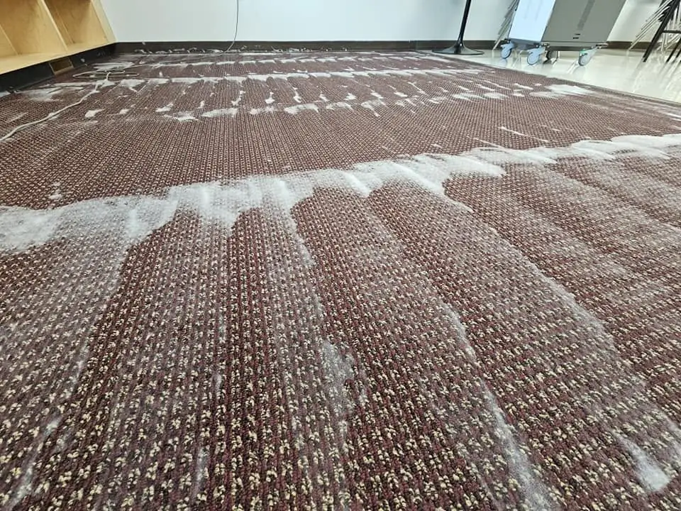 Cleaning foam being worked into a commercial carpet during a dry foam clean