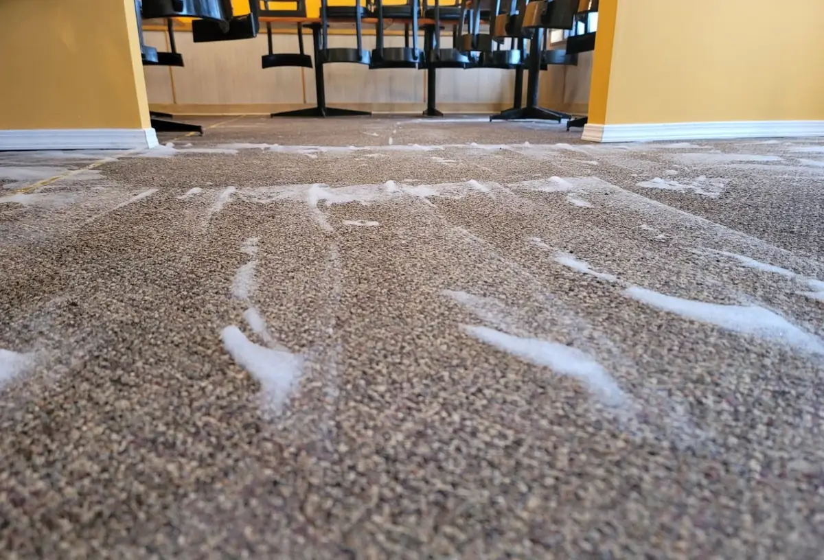 Commercial restaurant carpet mid-clean, with chairs lifted onto the tables