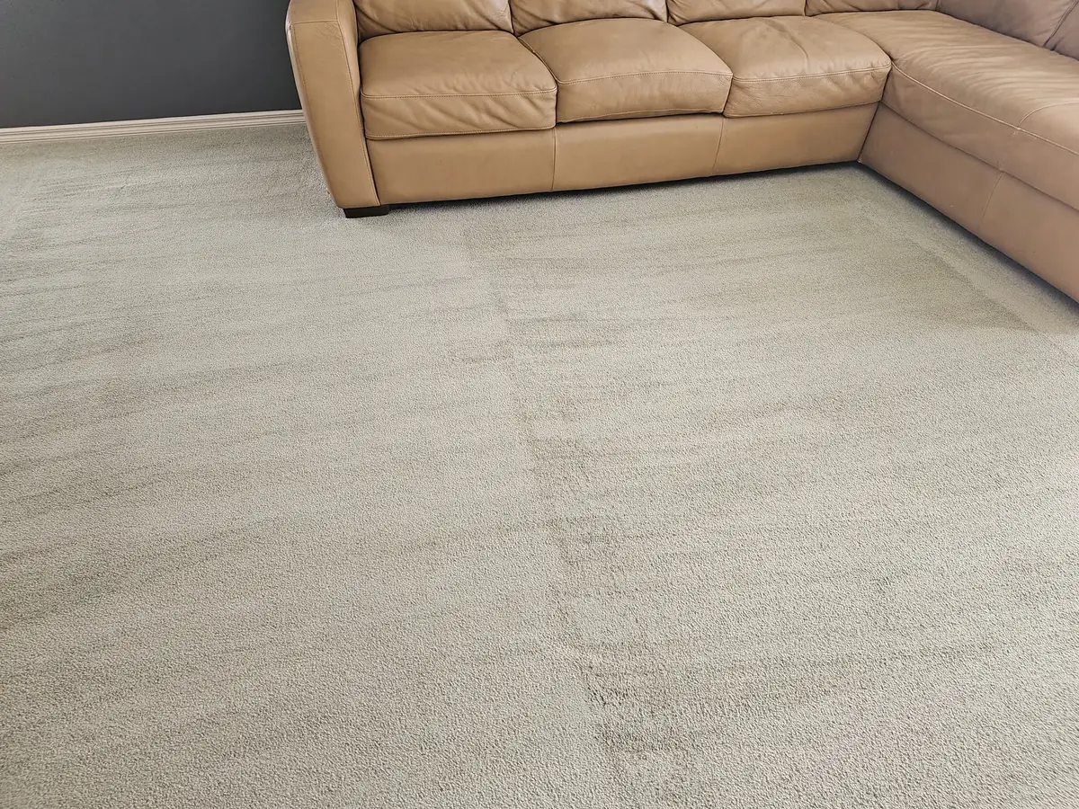 A light living room carpet after cleaning, beside a tan leather sectional