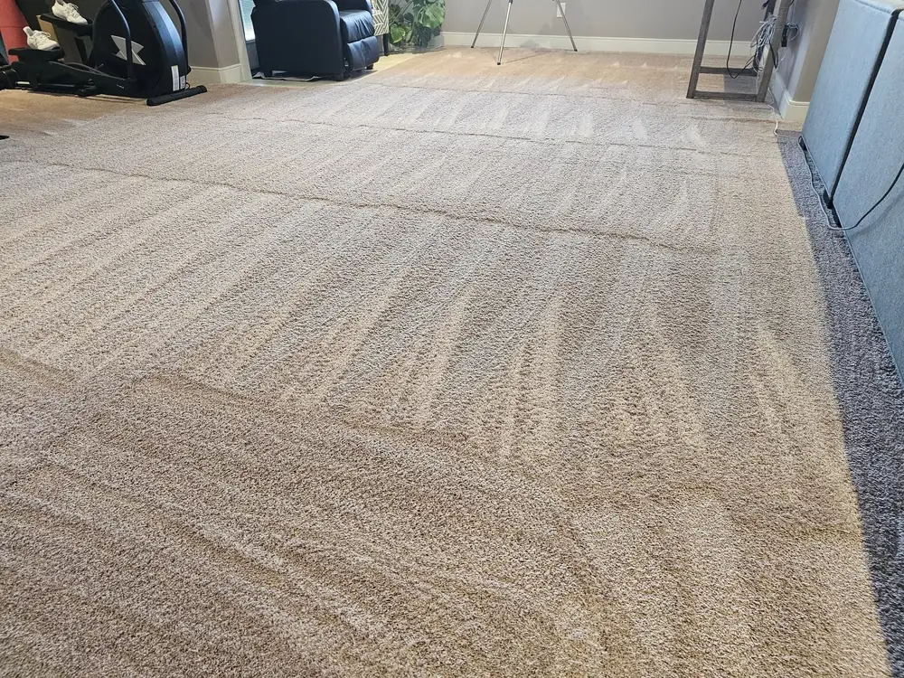 Freshly cleaned beige carpet in a rec room, with the brush lines still visible