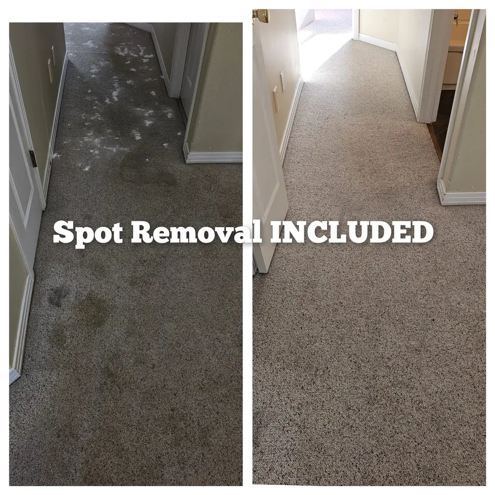 Before and after of a stained hallway carpet, with Spot Removal Included written across the photo