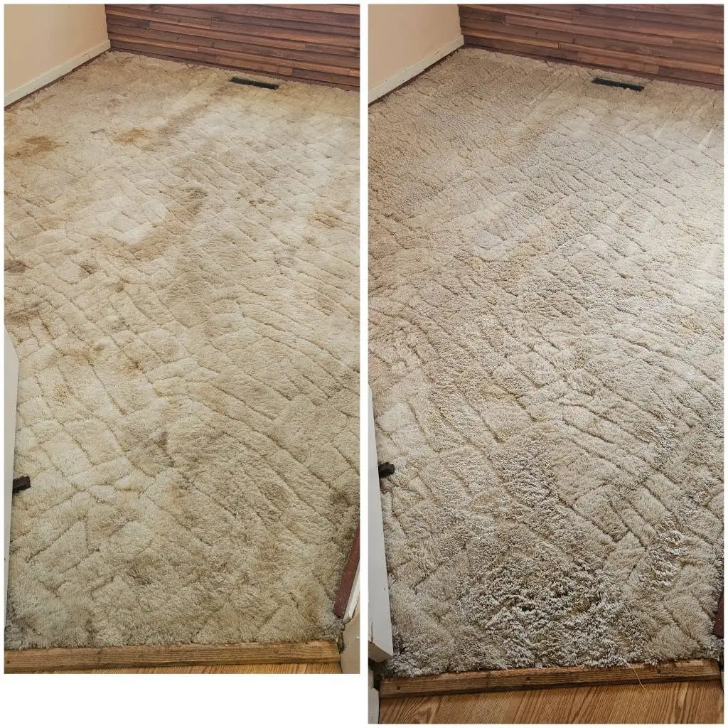 A cream shag rug covered in brown spots before cleaning on the left, and clean after on the right