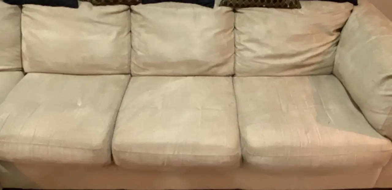 A light fabric couch after cleaning, the cushions even in colour
