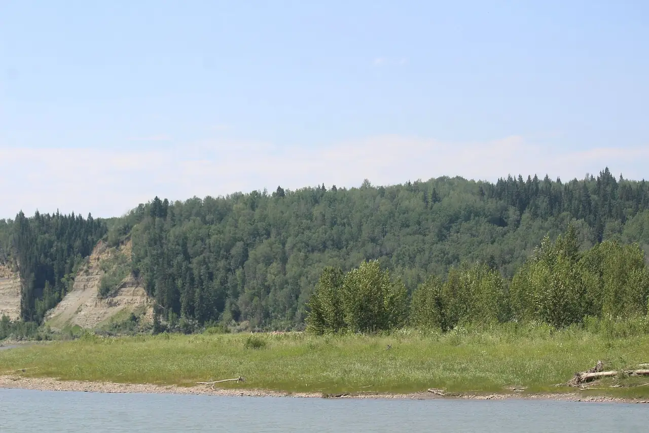 A forested river valley at Eagle Point Provincial Park, near Drayton Valley
